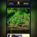 Screen Swiper game in play
